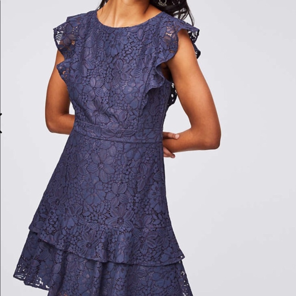 Loft Gray Lace Flutter Dress, size 4 worn once